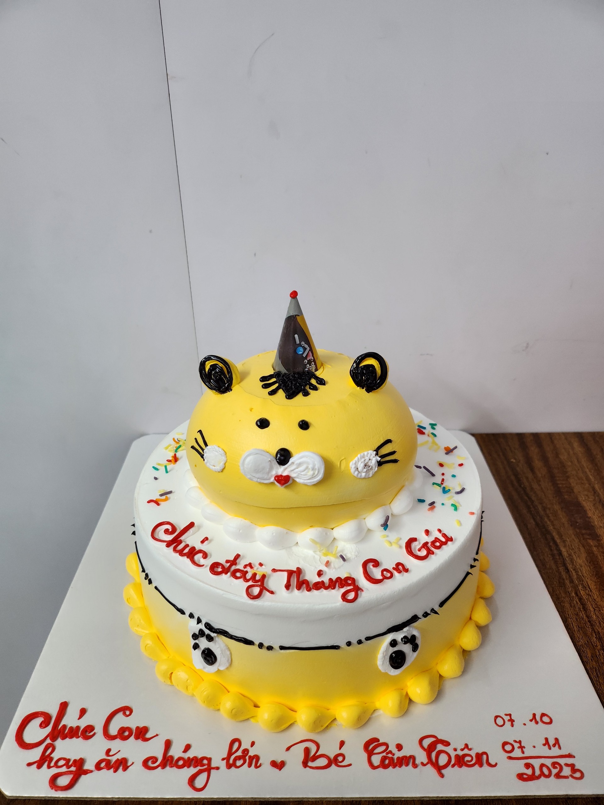 Mẫu 560